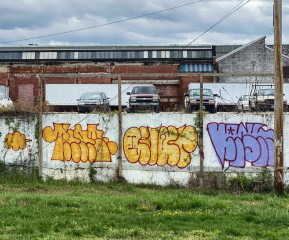 Baltimore / Walls