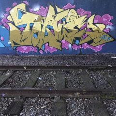 zem / Derby / Walls