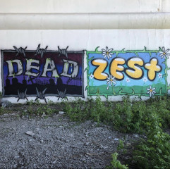 Zest / Providence / Walls